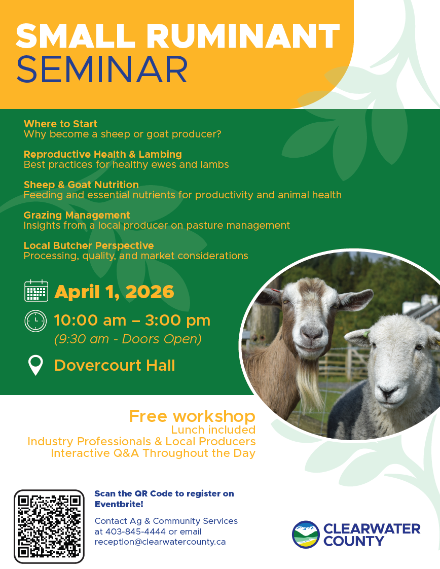 Clearwater Apr1 2026