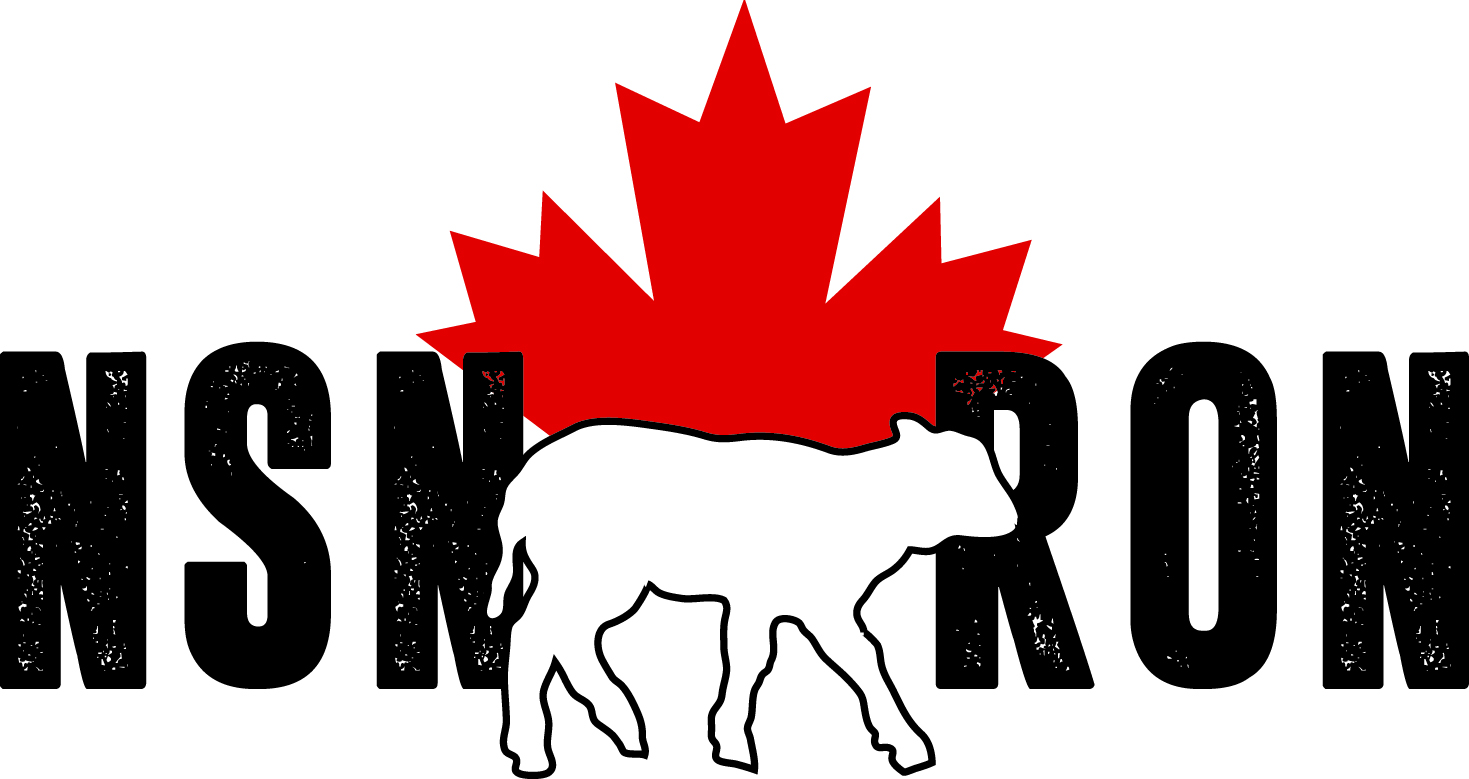 NSNRON logo