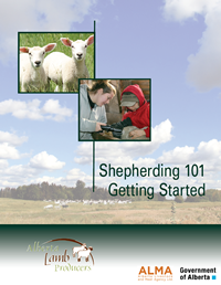 shepherding 101 getting started cover