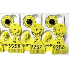 YELLOW Allflex Paired (Combo) RFID and dangle