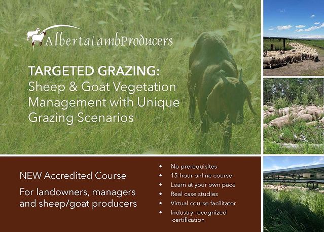 Alberta Lamb Producers Targeted Grazing Brochuer page 1