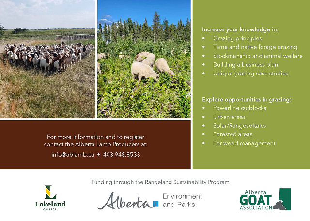 Alberta Lamb Producers Targeted Grazing Brochuer page 2