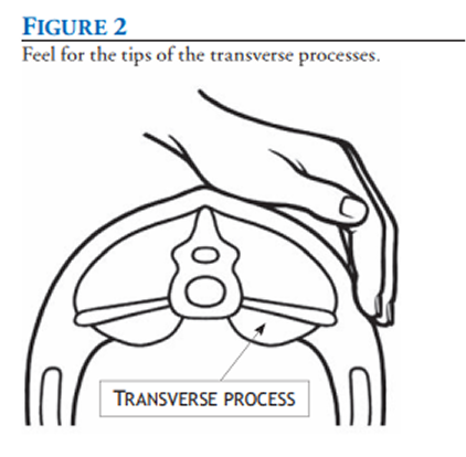 Body Condition Scoring figure 2