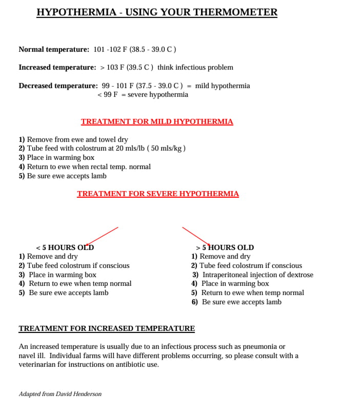 Caring for hypothermic Lambs Alberta Lamb Producers (1)