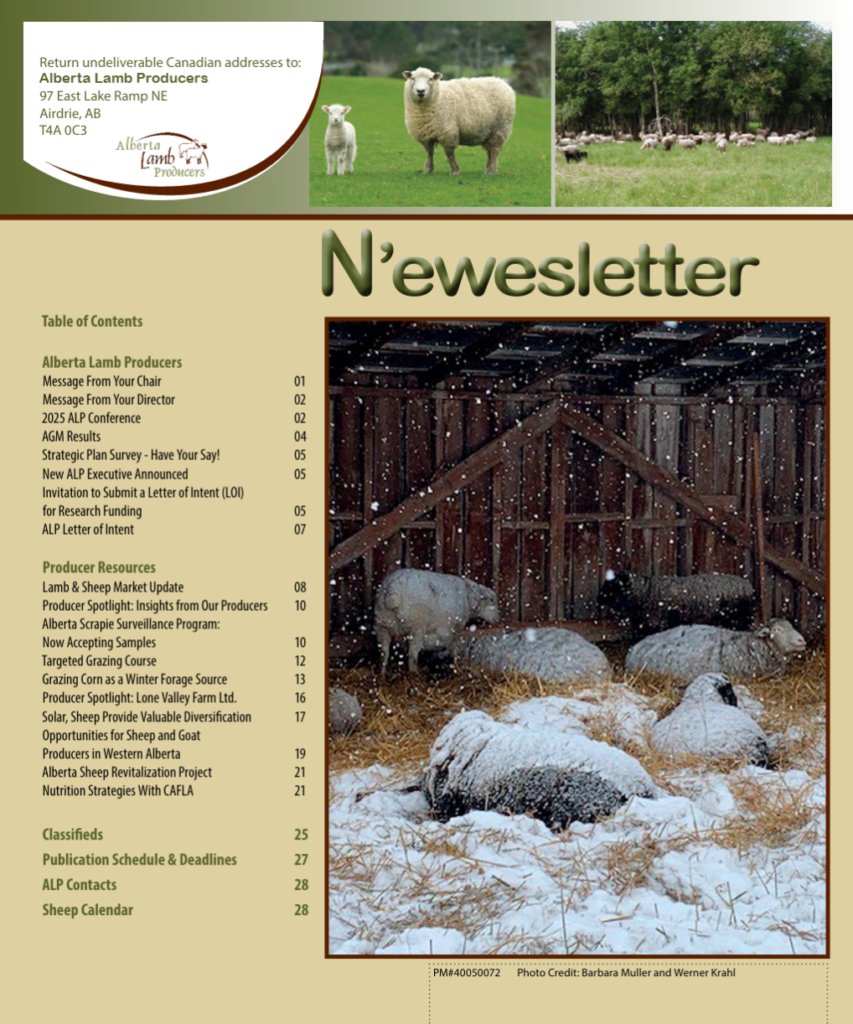 Winter Newsletter thumbnail