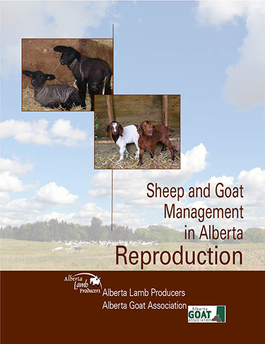 Sheep and Goat Management In Alberta Reproduction