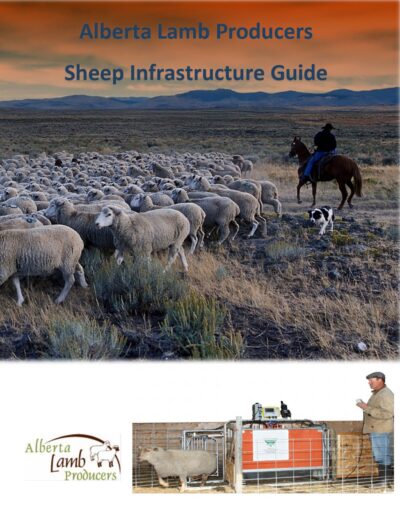 Sheep Infrastructure Guide Thumbnail